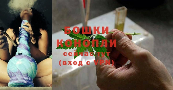 прущие грибы Ладушкин