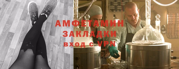 PSILOCYBIN Алагир