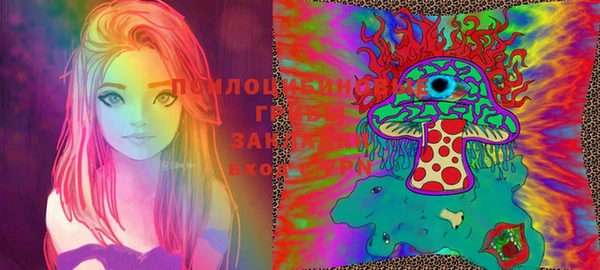 прущие грибы Ладушкин