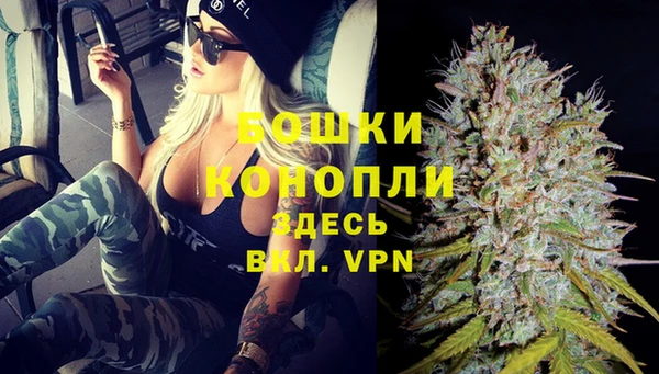 прущие грибы Ладушкин