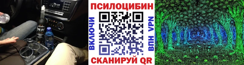 mega сайт Юхнов Псилоцибиновые грибы Psilocybine cubensis